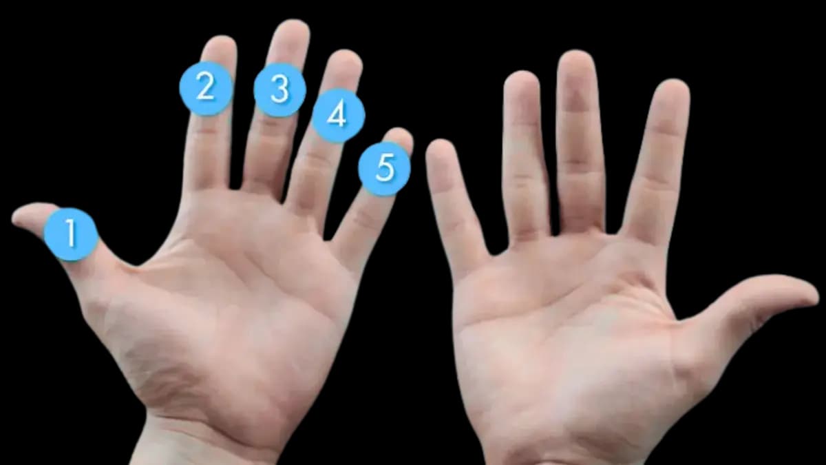 Esquema visual: digitación de mano derecha e izquierda en el teclado (números 1 a 5)